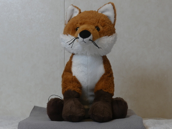 Unnamed 21(Red Fox, Fiesta)